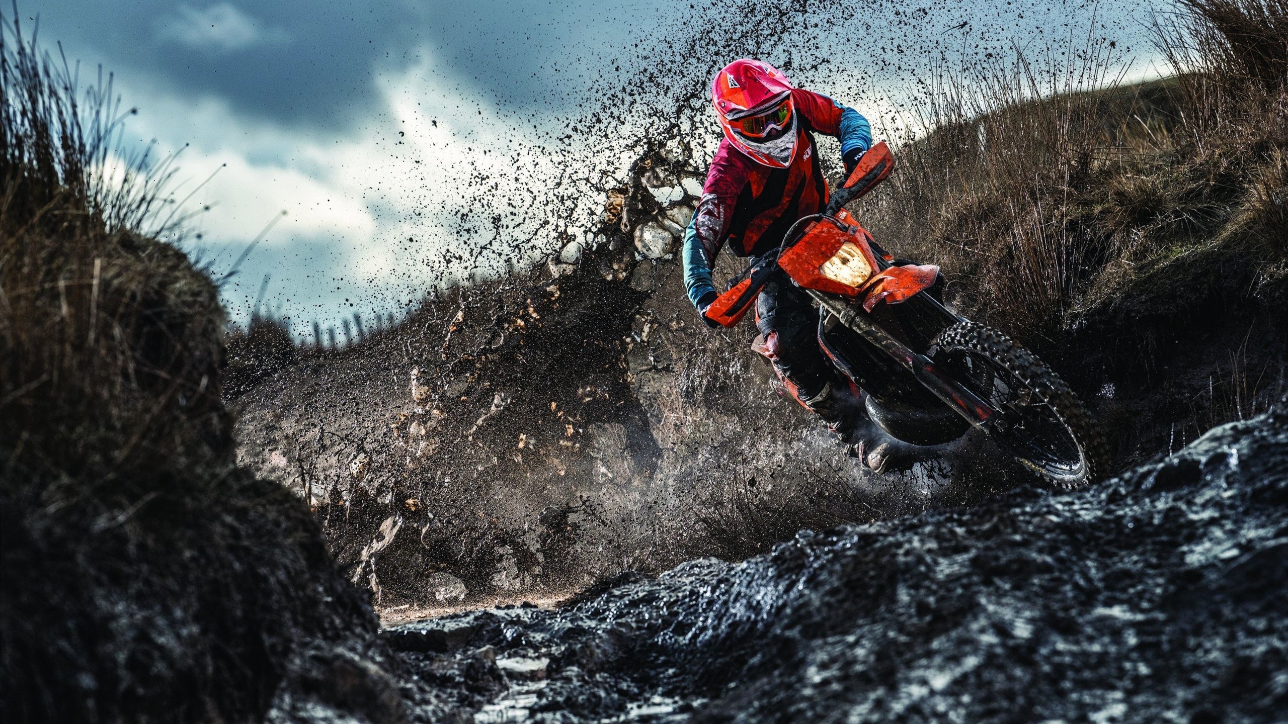 健身挑战赛,塑造最佳自己,健身大挑战